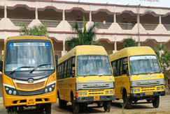 An image consisting of three yellow buses.